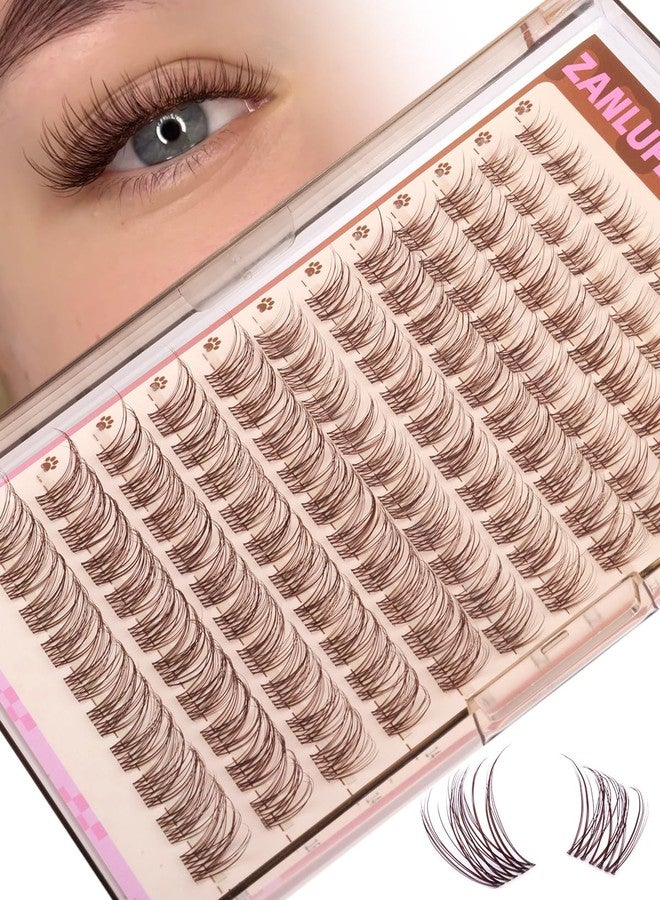 zanlufly Brown Lash Clusters Clear Band Eyelash Clusters Natural Lashes Clusters Dark Brown Lash Extension C Curly Cluster Eyelash Extensions 8-16mm DIY Individual Lashes by ZANLUFLY - Image 1